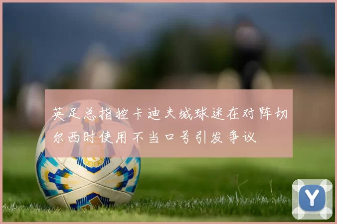 英足总指控卡迪夫城球迷在对阵切尔西时使用不当口号引发争议